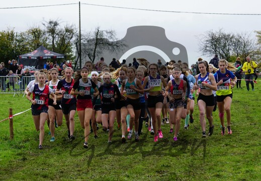 Cross D'Amermont (Stavelot)