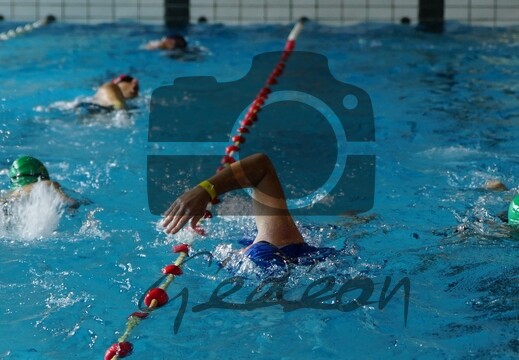 Triathlon Vert des Fagnes 