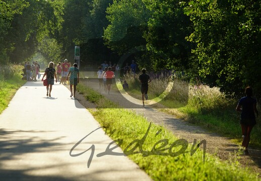 Le tour du lac (Butgenbach)