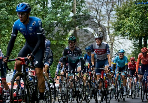 La flèche Wallonne