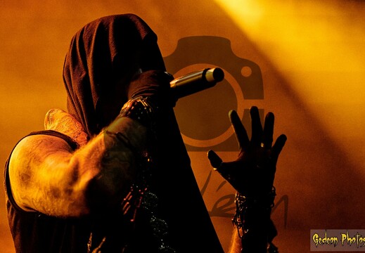Musique : concerts, festivals... 