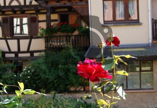 Kaysersberg 2010