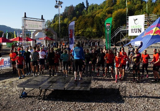 Les courses d'obstacles 