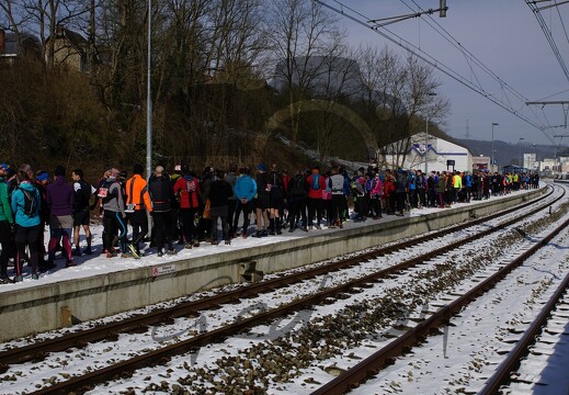 Trail de l'Ourthe