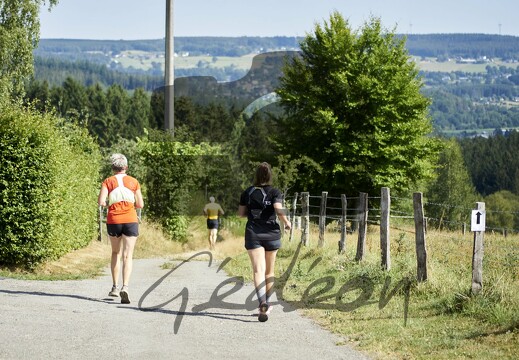 Trail des Croix (Francheville)