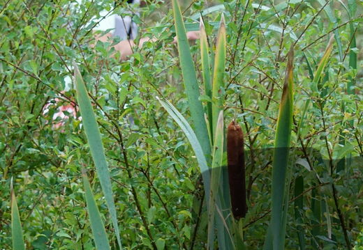 DSC05258