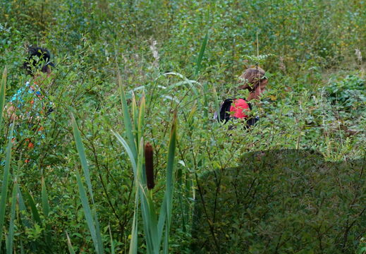 DSC05259