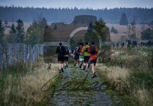 Trail des Hautes Fagnes