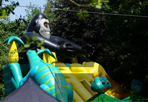 DSC01909