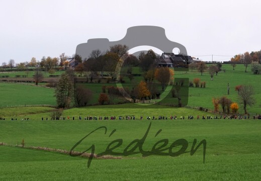 DSC06791