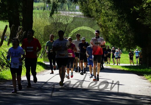 Semi-marathon 