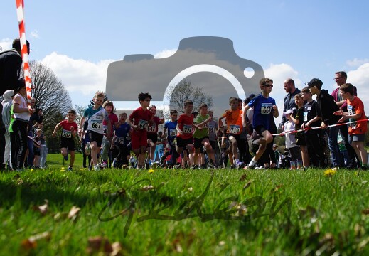 Semi-marathon 