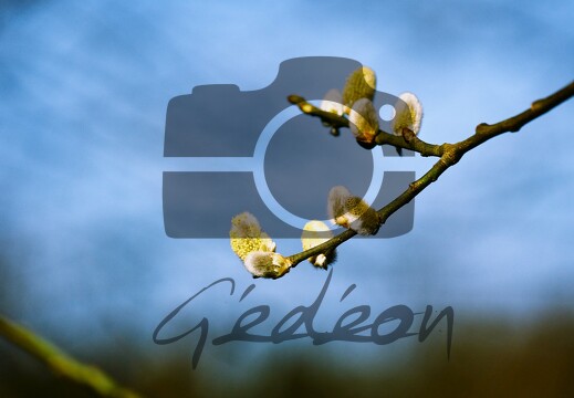 Evasion : nature, paysages, sites, visites, flore & faune...