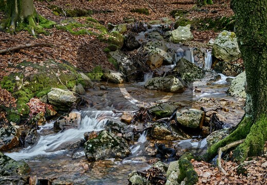 Evasion : nature, paysages, sites, visites, flore & faune...