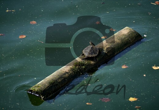 Sept 2024 008