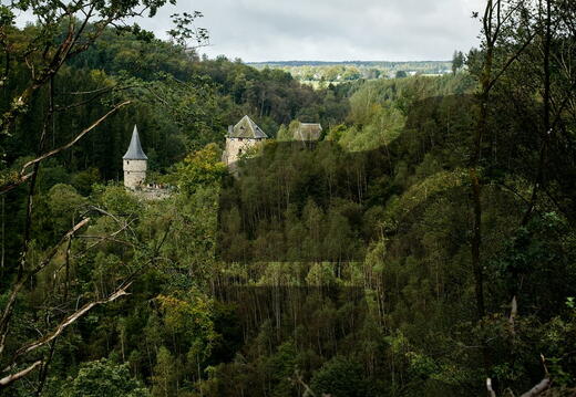 Evasion : nature, paysages, sites, visites, flore & faune...