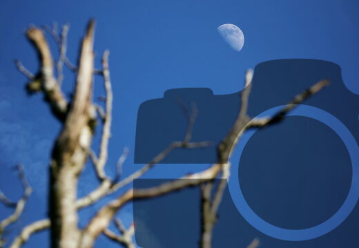 Evasion : nature, paysages, sites, visites, flore & faune...