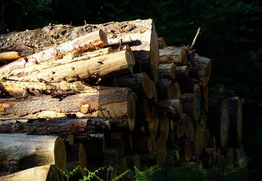 Evasion : nature, paysages, sites, visites, flore & faune...