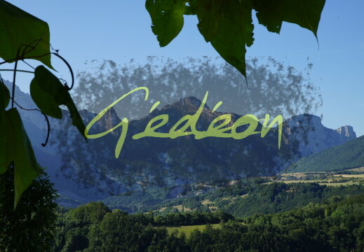 Evasion : nature, paysages, sites, visites, flore & faune...